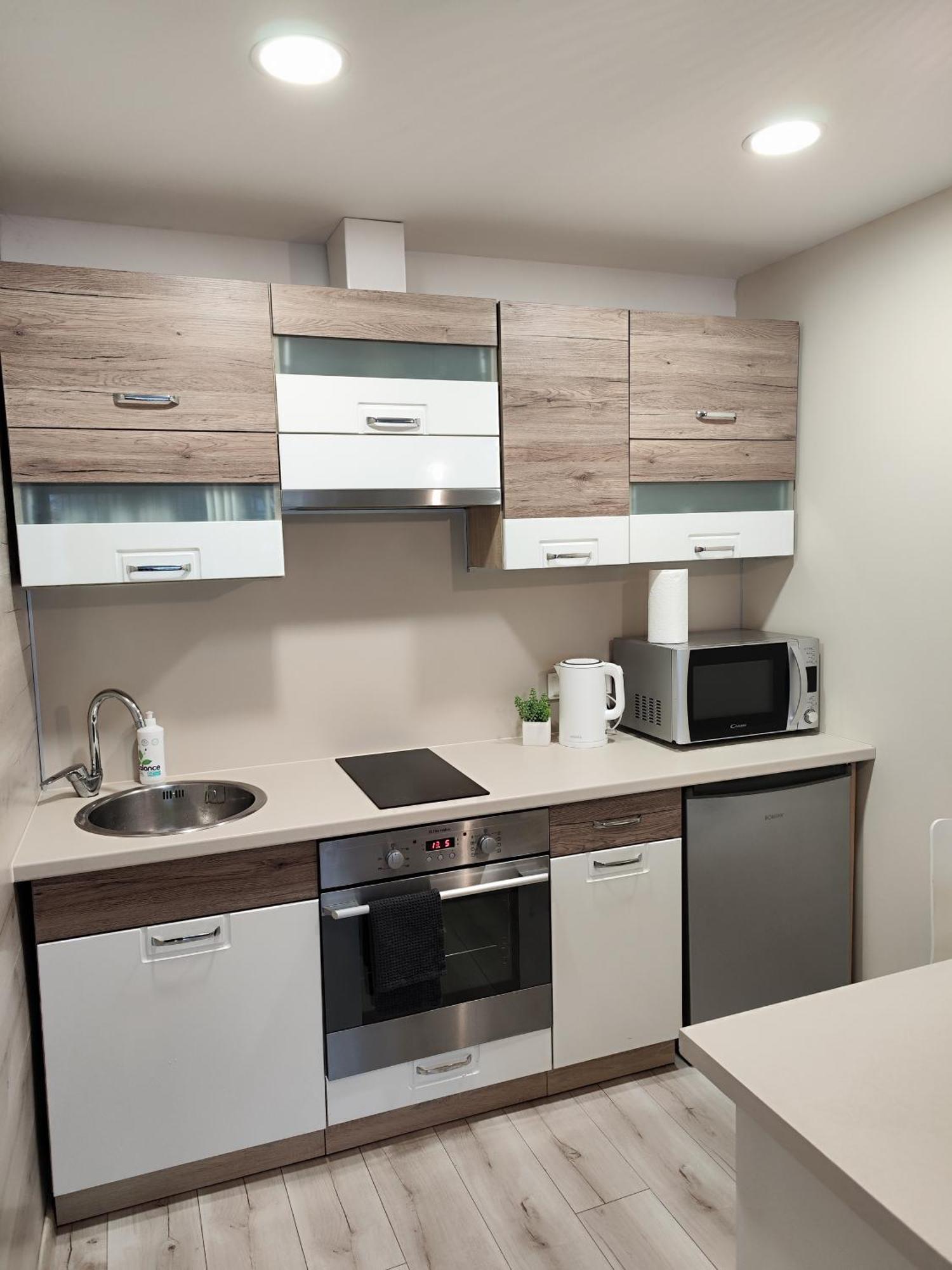 Monica Apartments Panevezys Bagian luar foto
